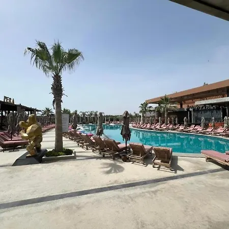 Long شقة *